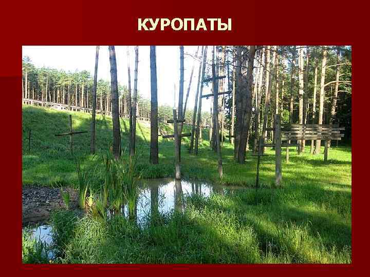 КУРОПАТЫ 
