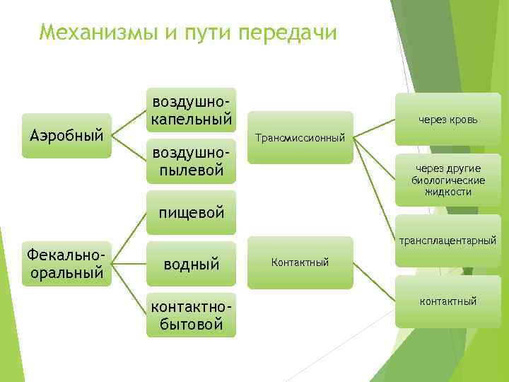 Механизмы и пути передачи Аэробный воздушнокапельный воздушнопылевой через кровь Трансмиссионный через другие биологические жидкости