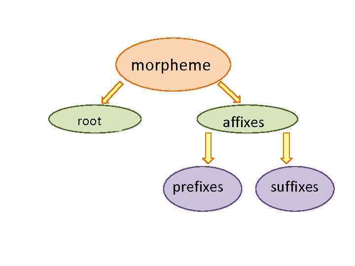 morpheme root affixes prefixes suffixes 