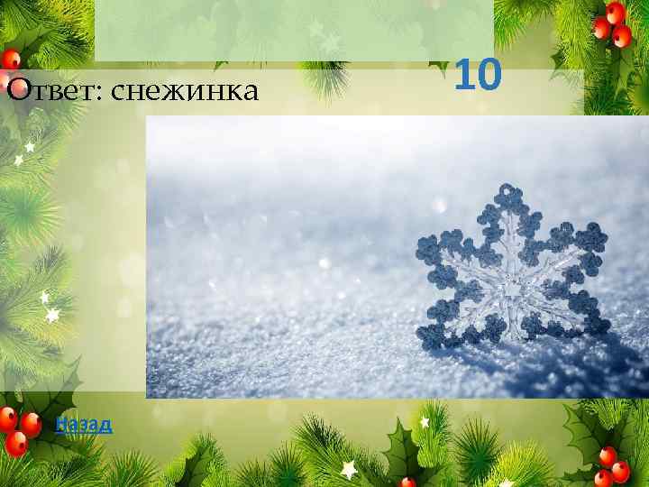 Ответ: снежинка Назад 10 