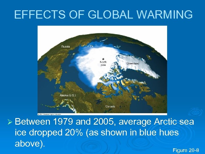 EFFECTS OF GLOBAL WARMING Ø Between 1979 and 2005, average Arctic sea ice dropped