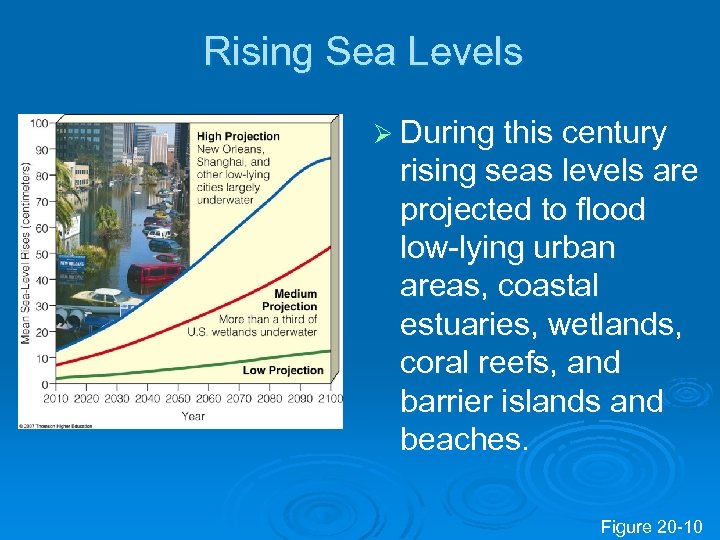 Rising Sea Levels Ø During this century rising seas levels are projected to flood