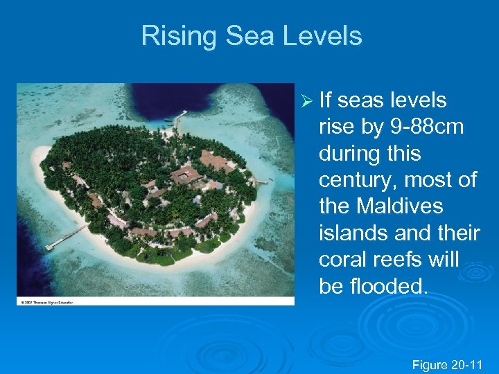 Rising Sea Levels Ø If seas levels rise by 9 -88 cm during this