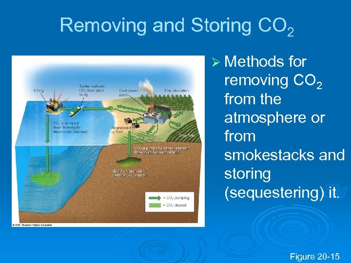 Removing and Storing CO 2 Ø Methods for removing CO 2 from the atmosphere