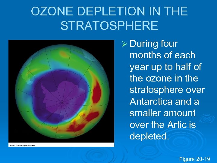 OZONE DEPLETION IN THE STRATOSPHERE Ø During four months of each year up to