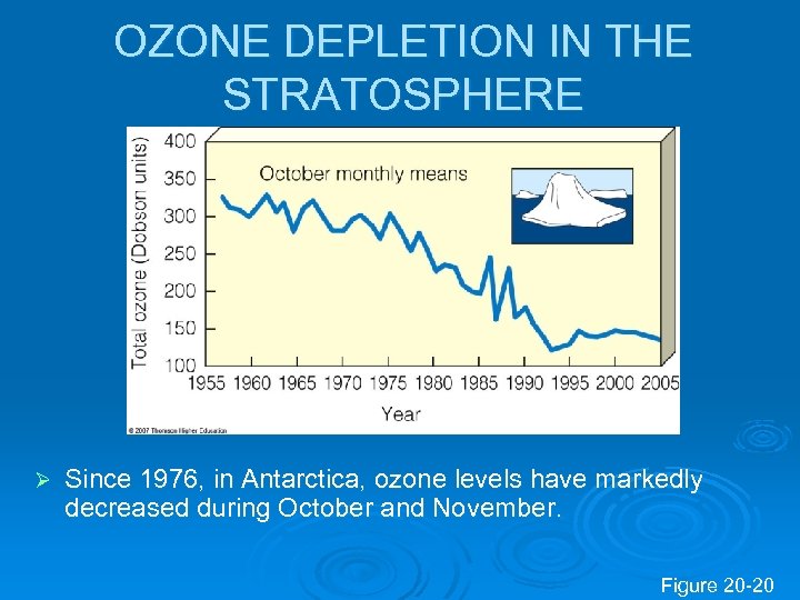 OZONE DEPLETION IN THE STRATOSPHERE Ø Since 1976, in Antarctica, ozone levels have markedly