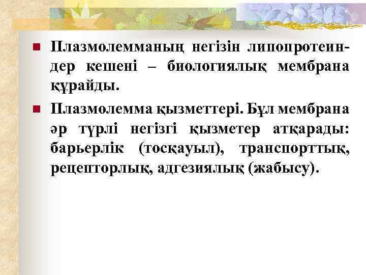 n n Плазмолемманың негізін липопротеин- дер кешені – биологиялық мембрана құрайды. Плазмолемма қызметтері. Бұл