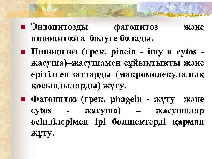 n n n Эндоцитозды фагоцитоз және пиноцитозға бөлуге болады. Пиноцитоз (грек. pinein - ішу