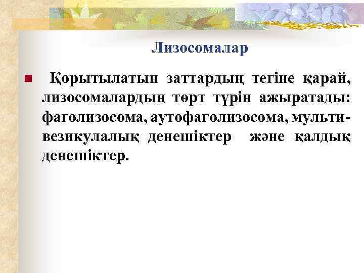  Лизосомалар n Қорытылатын заттардың тегіне қарай, лизосомалардың төрт түрін ажыратады: фаголизосома, аутофаголизосома, мульти-