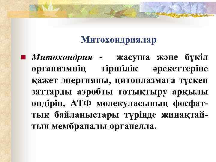 Митохондриялар n Митохондрия - жасуша және бүкіл организмнің тіршілік әрекеттеріне қажет энергияны, цитоплазмаға түскен