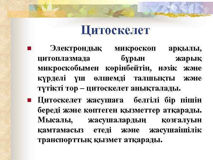 Цитоскелет n n Электрондық микроскоп арқылы, цитоплазмада бұрын жарық микроскобымен көрінбейтін, нәзік және күрделі