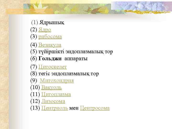  (1) Ядрышық (2) Ядро (3) рибосома (4) Везикула (5) түйіршікті эндоплазмалық тор (6)