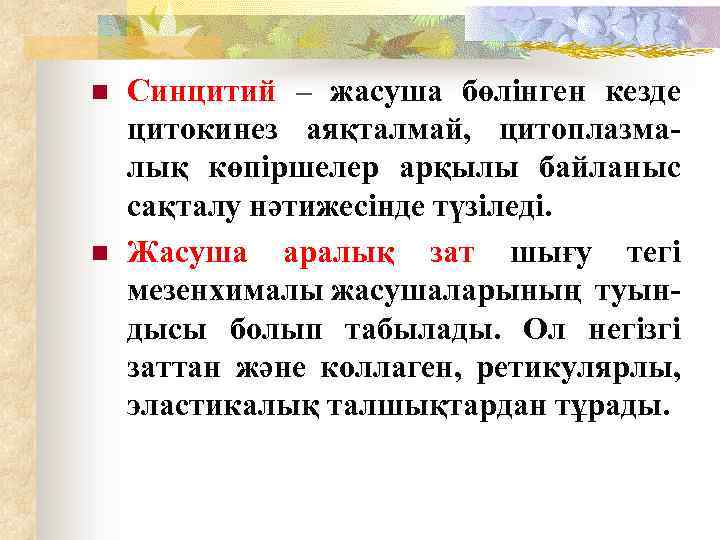 n n Синцитий – жасуша бөлінген кезде цитокинез аяқталмай, цитоплазма- лық көпіршелер арқылы байланыс