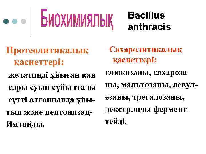Bacillus anthracis Протеолитикалық қасиеттері: желатинді ұйыған қан сары суын сұйылтады сүтті алғашында ұйытып және