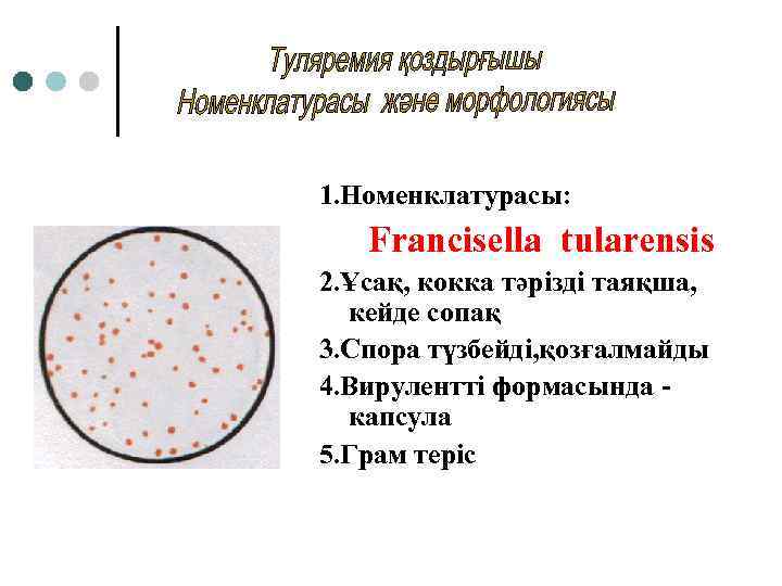 1. Номенклатурасы: Francisella tularensis 2. Ұсақ, кокка тәрізді таяқша, кейде сопақ 3. Спора түзбейді,