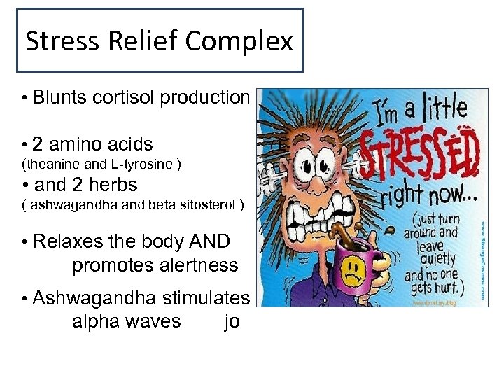 Stress Relief Complex • Blunts cortisol production • 2 amino acids ( L- (theanine