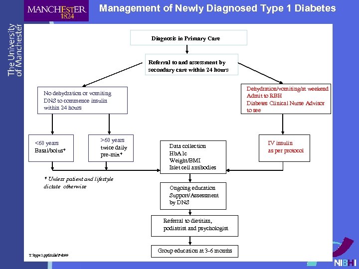 Management of Newly Diagnosed Type 1 Diabetes Diagnosis in Primary Care Referral to and