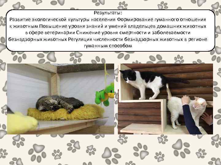 Результаты: Развитие экологической культуры населения Формирование гуманного отношения к животным Повышение уровня знаний и