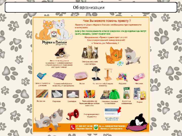 Об организации 