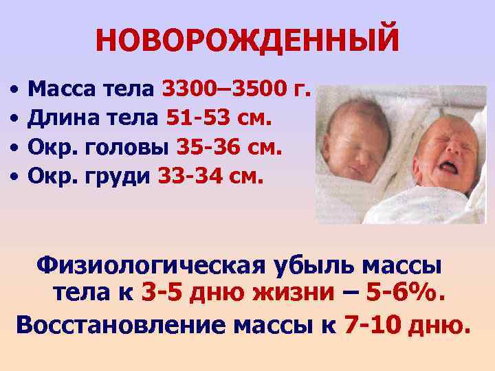 НОВОРОЖДЕННЫЙ • • Масса тела 3300– 3500 г. Длина тела 51 -53 см. Окр.