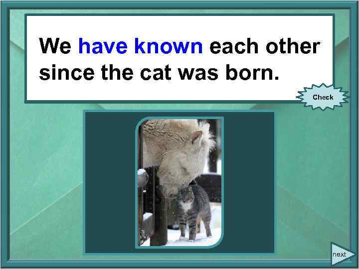 We have known each since We (know) each other since the cat was born.