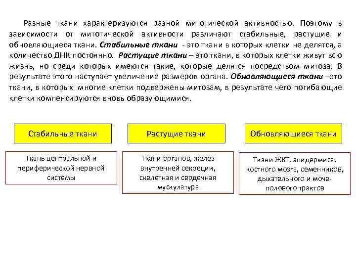 Разные ткани характеризуются разной митотической активностью. Поэтому в зависимости от митотической активности различают стабильные,