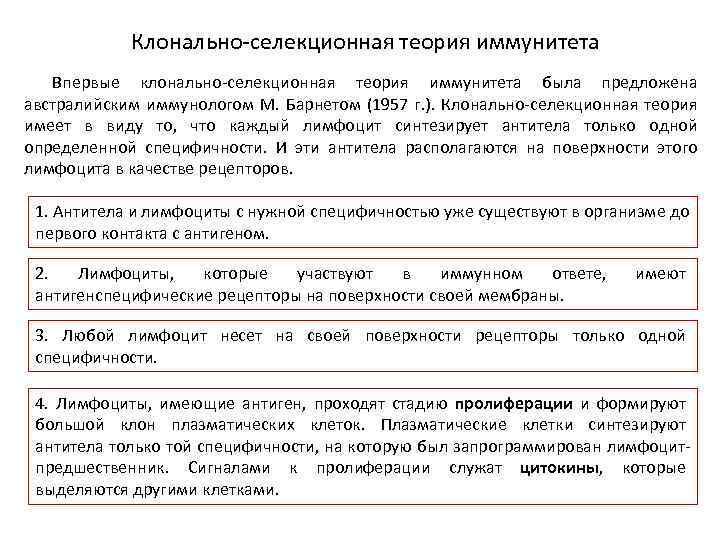 Клонально-селекционная теория иммунитета Впервые клонально-селекционная теория иммунитета была предложена австралийским иммунологом М. Барнетом (1957