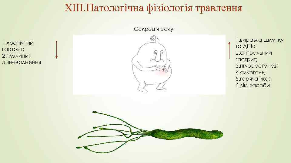 XIII. Патологічна фізіологія травлення Секреція соку 1. хронічний гастрит; 2. пухлини; 3. зневоднення 1.