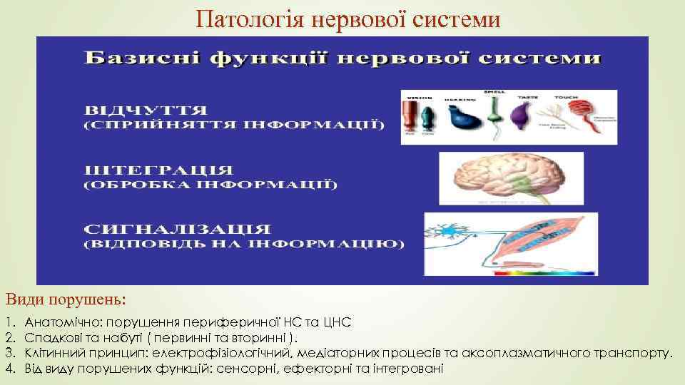 Патологія нервової системи Види порушень: 1. 2. 3. 4. Анатомічно: порушення периферичної НС та