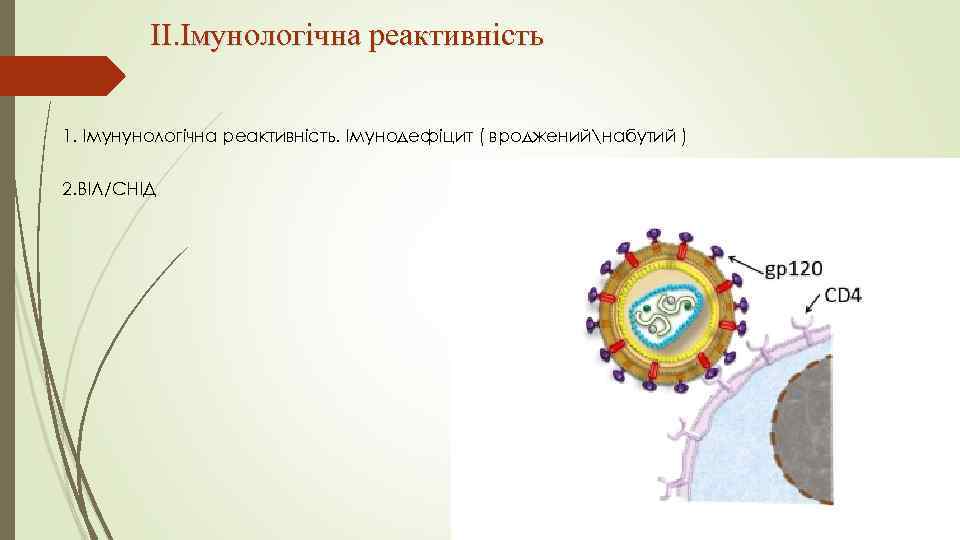 II. Імунологічна реактивність 1. Імунунологічна реактивність. Імунодефіцит ( вродженийнабутий ) 2. ВІЛ/СНІД 