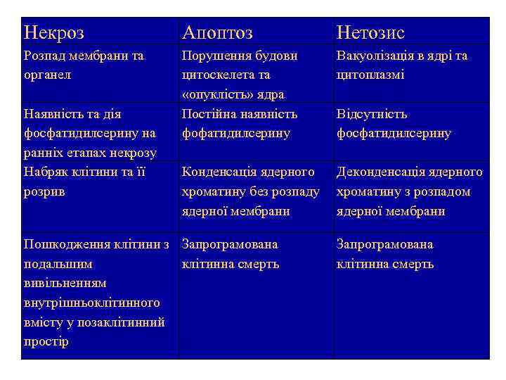 Некроз Апоптоз Нетозис Розпад мембрани та органел Порушення будови цитоскелета та «опуклість» ядра Постійна