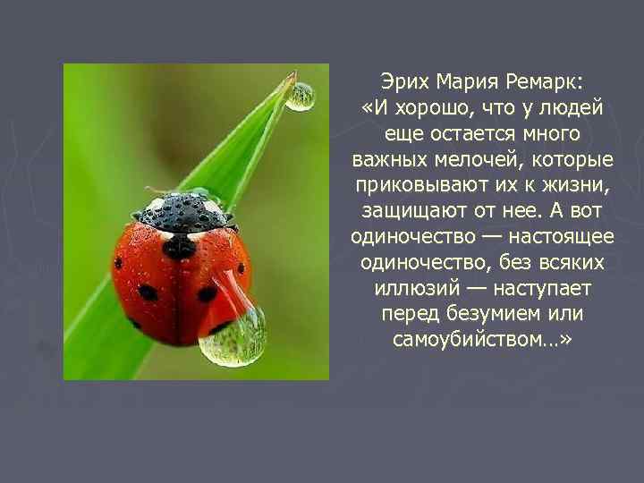 Эрих Мария Ремарк: «И хорошо, что у людей еще остается много важных мелочей, которые