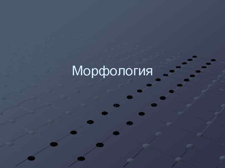 Морфология 