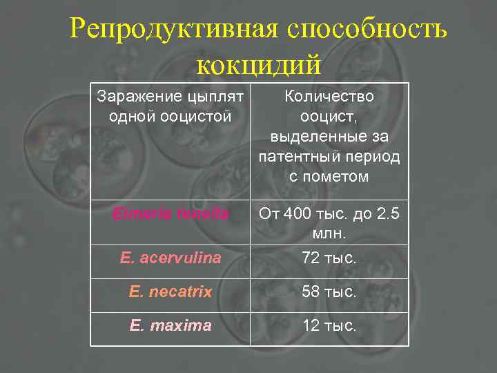 Репродуктивная способность кокцидий Заражение цыплят одной ооцистой Количество ооцист, выделенные за патентный период с