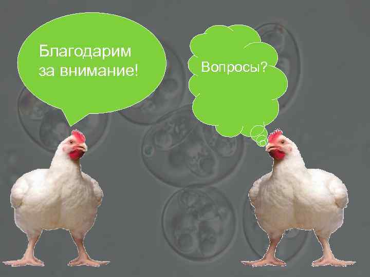 Благодарим за внимание! Вопросы? 