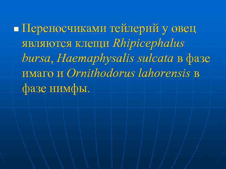 n Переносчиками тейлерий у овец являются клещи Rhipicephalus bursa, Haemaphysalis sulcata в фазе имаго