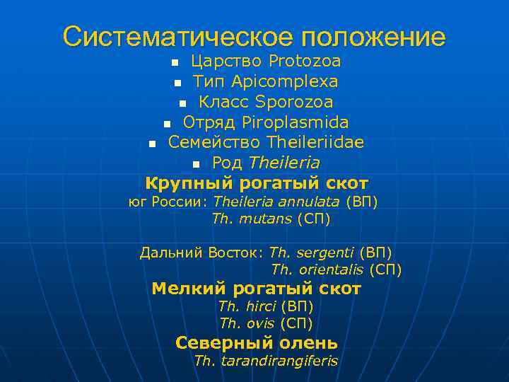 Систематическое положение Царство Protozoa n Тип Apicomplexa n Класс Sporozoa n Отряд Piroplasmida n