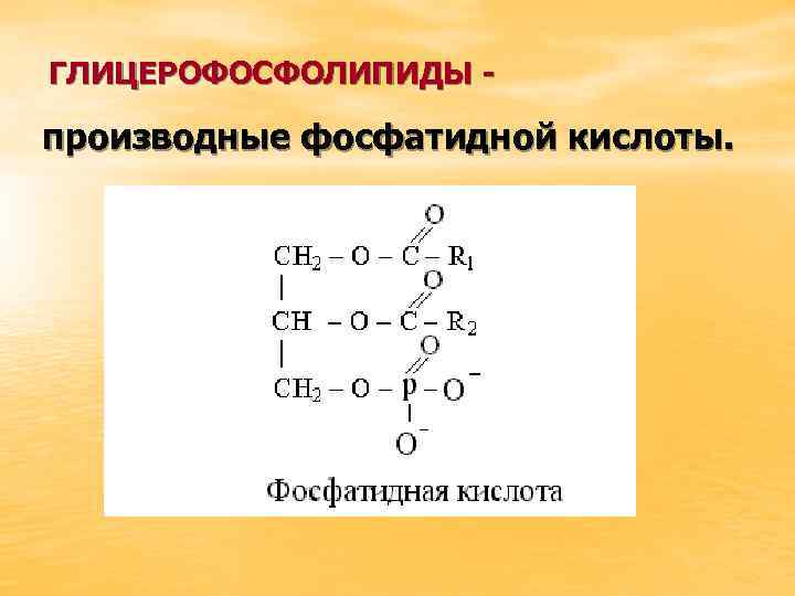 ГЛИЦЕРОФОСФОЛИПИДЫ - производные фосфатидной кислоты. 