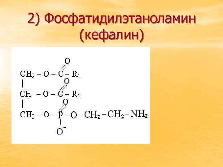 2) Фосфатидилэтаноламин (кефалин) 