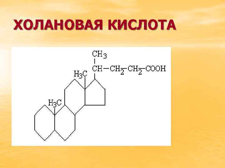 ХОЛАНОВАЯ КИСЛОТА 