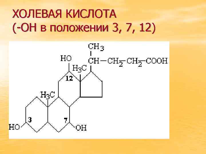 ХОЛЕВАЯ КИСЛОТА (-ОН в положении 3, 7, 12) 