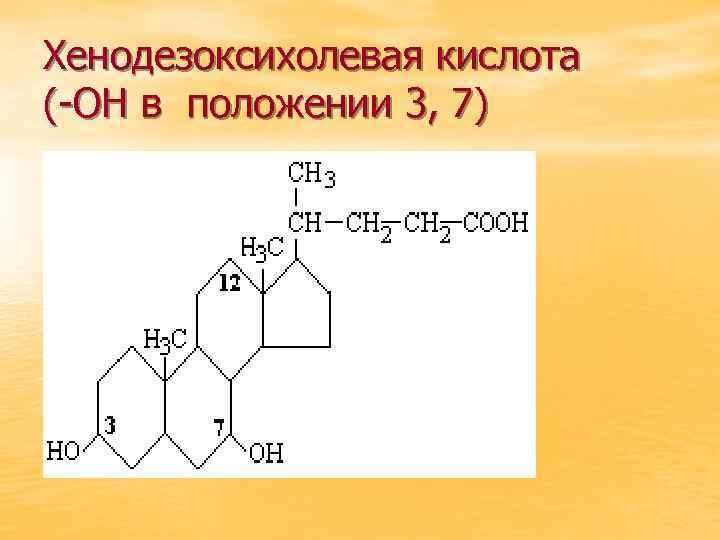 Хенодезоксихолевая кислота (-ОН в положении 3, 7) 