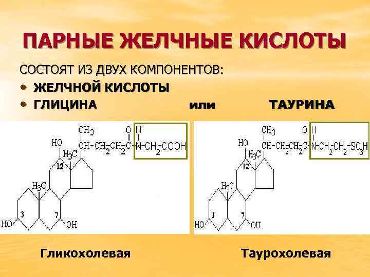 ПАРНЫЕ ЖЕЛЧНЫЕ КИСЛОТЫ СОСТОЯТ ИЗ ДВУХ КОМПОНЕНТОВ: • ЖЕЛЧНОЙ КИСЛОТЫ • ГЛИЦИНА или Гликохолевая