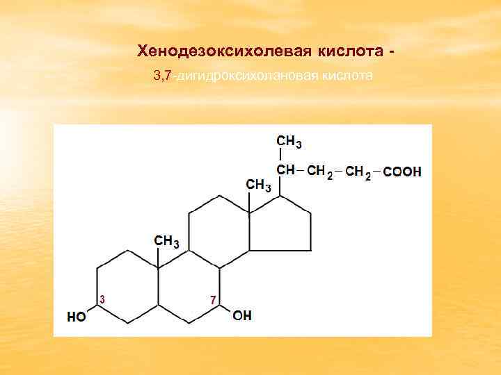 Хенодезоксихолевая кислота 3, 7 -дигидроксихолановая кислота 