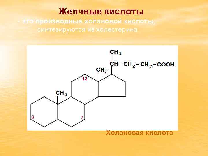 Желчные кислоты - это производные холановой кислоты, синтезируются из холестерина Холановая кислота 