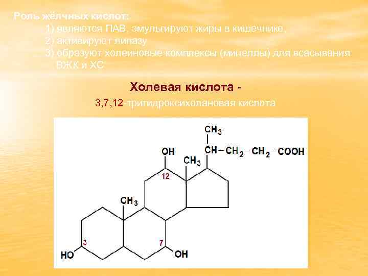 Роль жёлчных кислот: 1) являются ПАВ, эмульгируют жиры в кишечнике, 2) активируют липазу 3)