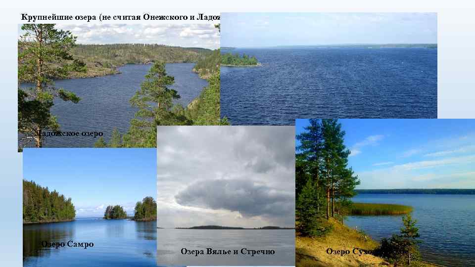 Крупнейшие озера (не считая Онежского и Ладожского) – Вуокса, Отрадное, Самро, Вялье и Стречно,