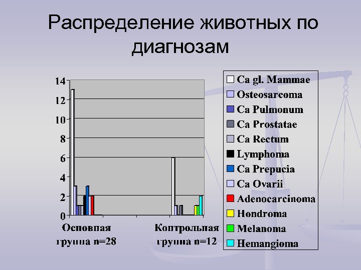 Распределение животных по диагнозам 