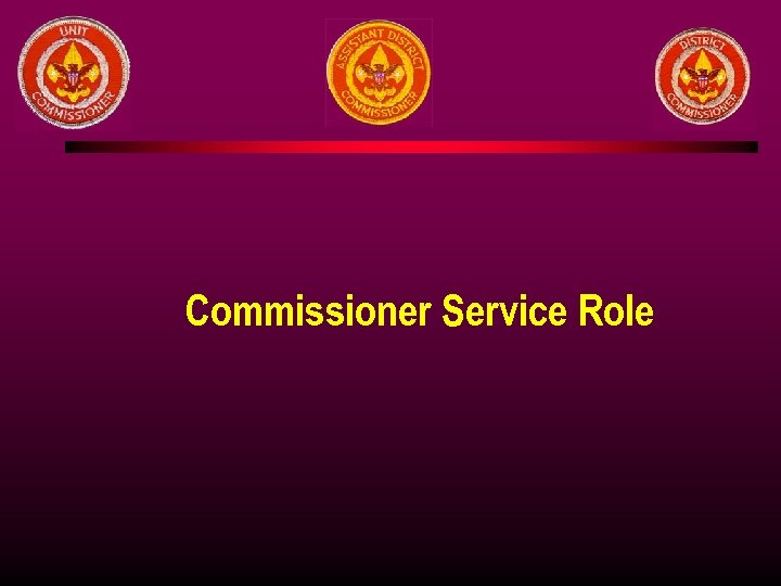 Commissioner Service Role 