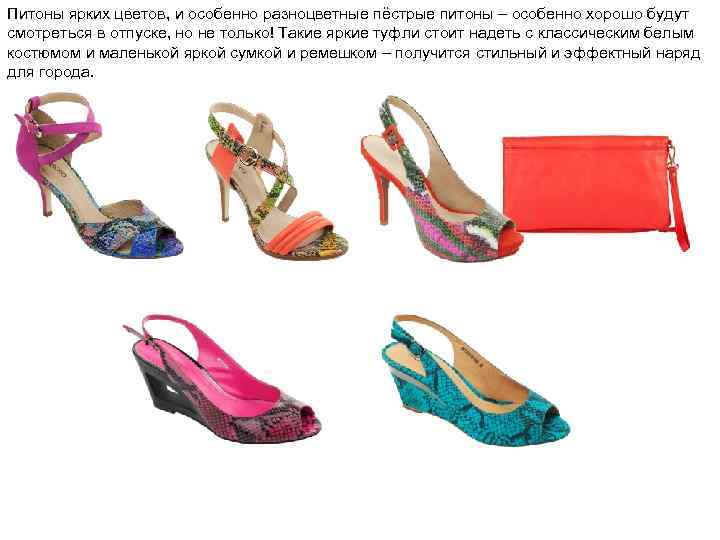 Питоны ярких цветов, и особенно разноцветные пёстрые питоны – особенно хорошо будут смотреться в